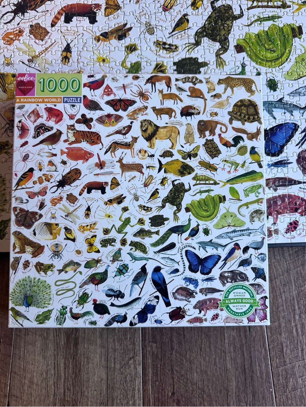 Eeboo 1000-Piece 'A Rainbow World' Animal Puzzle - Multicolor